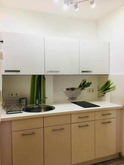 Apartment 1 Am Bahnhof 埃尔福特 外观 照片